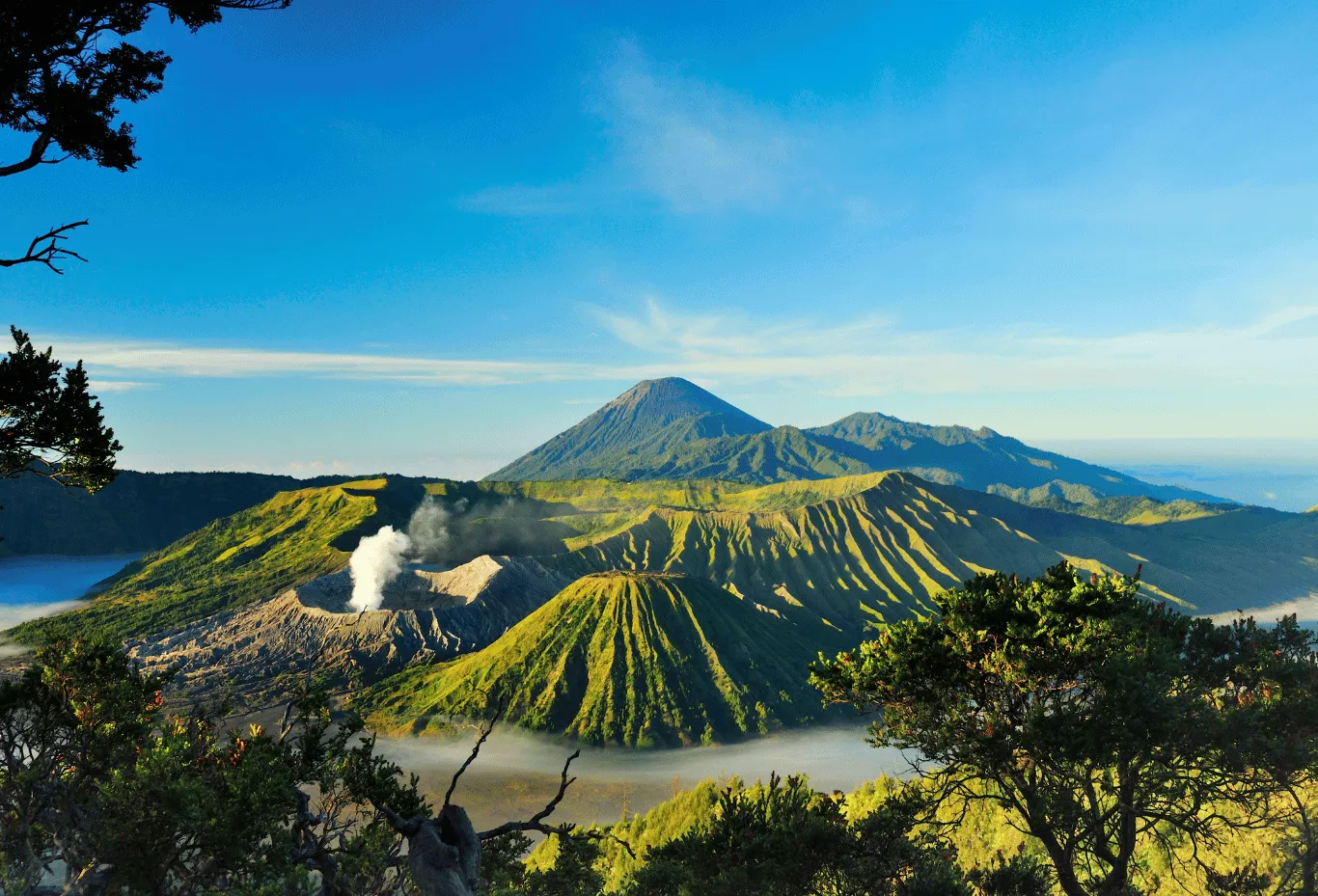 Bromo Sunrise Tour (2D1N)